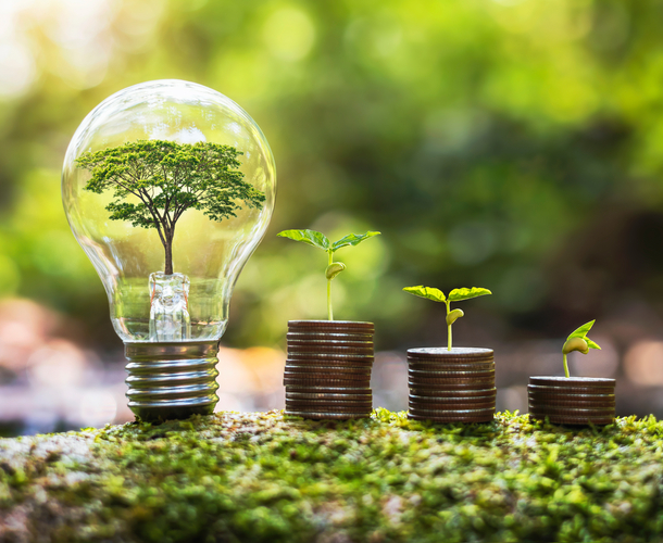 Africa vital for a co-ordinated energy transition: Standard Bank